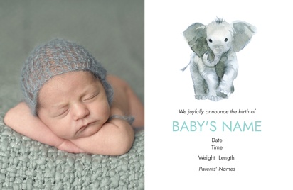 A logo elephant birth announcement white gray design for Theme with 1 uploads