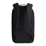 Example 13 of selected product