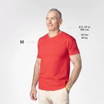 Beispiel 5 für ausgewähltes Produkt