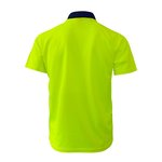 Example 2 of selected product