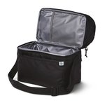 Example 10 of selected product