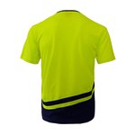 Example 2 of selected product