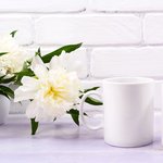 Example 4 of selected product