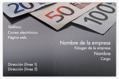 Vista previa del diseño de Galería de diseños de tarjetas de visita extragruesas para consultoría financiera, Standard (85 x 55 mm)