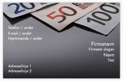 Forhåndsvisning af design for Designgalleri: Finans og forsikring Standardvisitkort, Standard (85 x 55 mm)