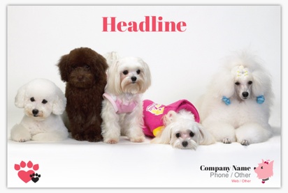 A maltais dog spa white pink design for Animals & Pet Care