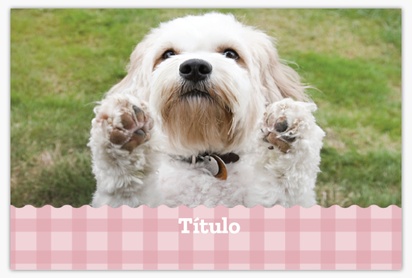 Un comida para mascotas golosinas para perros diseño rosa gris para Animales