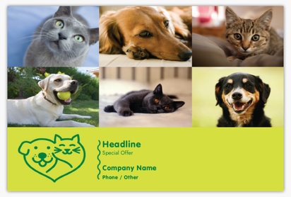 A huisdier adoptie center animalsk adoption center yellow cream design for Animals & Pet Care
