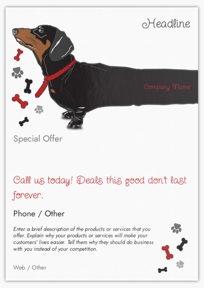 Design Preview for Design Gallery: Animal Grooming Flyers & Leaflets,  No Fold/Flyer A5 (148 x 210 mm)