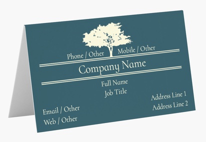Design Preview for Design Gallery: Finance & Insurance Folded Business Cards