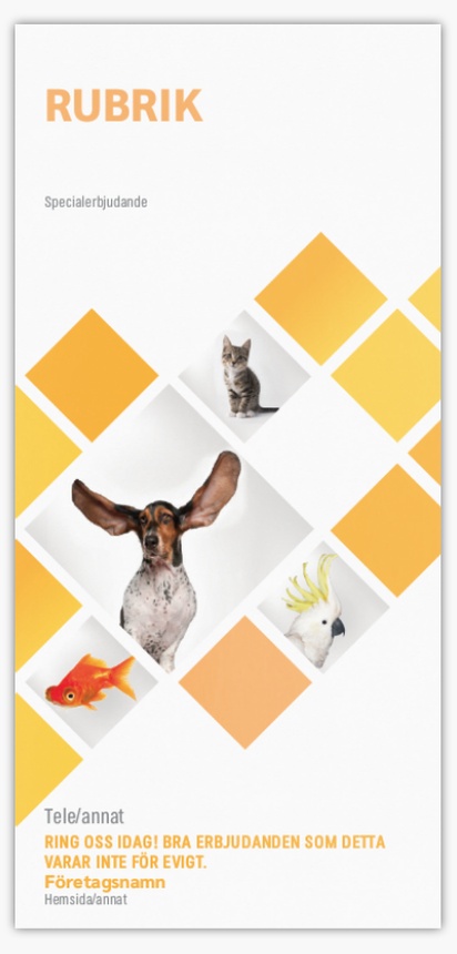 Förhandsgranskning av design för Designgalleri: Djurskötsel Flyers och broschyrer,  Ingen falsning DL (99 x 210 mm)