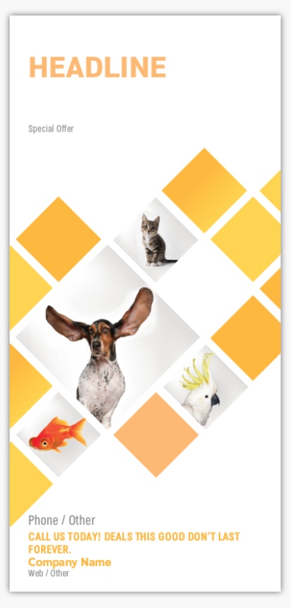 Design Preview for Design Gallery: Animals & Pet Care Flyers, None DL