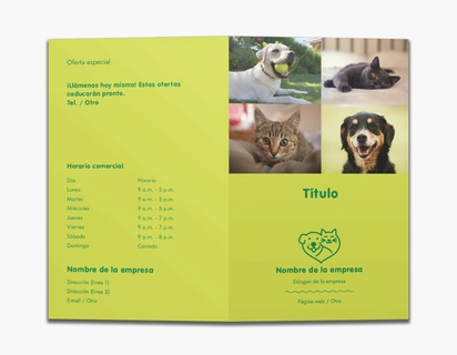 Un centro de adopción de animales refugio para perros diseño amarillo marrón para Animales y mascotas
