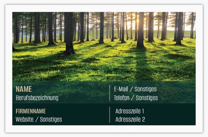Designvorschau für Designgalerie: Standard-Visitenkarten Umwelt & Energie, Standard (85 x 55 mm)