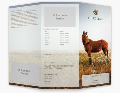 A ranch horse white brown design for Animals with 2 uploads
