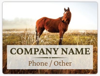 A horse ranch gray brown design for Summer