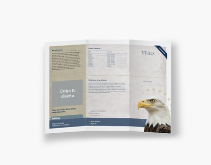 Vista previa del diseño de Galería de diseños de folletos plegados para derecho, seguridad pública y política, Tríptico DL (99 x 210 mm)