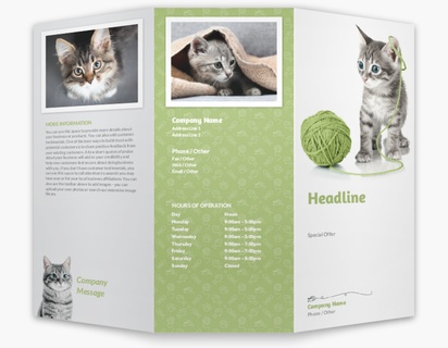 A kitten cat rescue gray white design for Animals & Pet Care