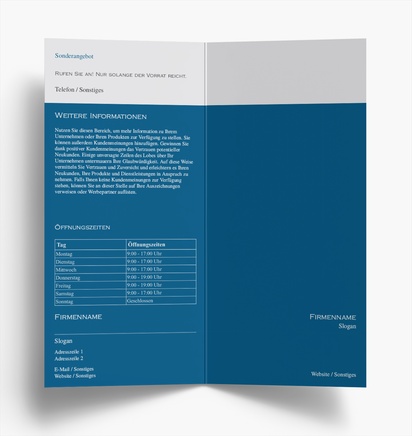 Designvorschau für Designgalerie: Falzflyer Finanzen & Versicherungen, Einbruchfalz DL (99 x 210 mm)