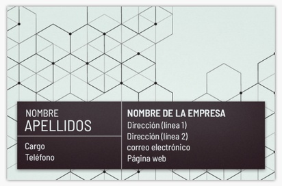 Vista previa del diseño de Galería de diseños de tarjetas de visita standard para consultoría financiera, Standard (85 x 55 mm)