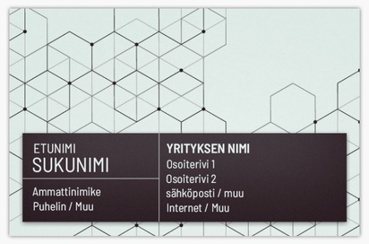 Mallin esikatselu Mallivalikoima: Laki & Politiikka Standard-käyntikortit, Standard (85 x 55 mm)