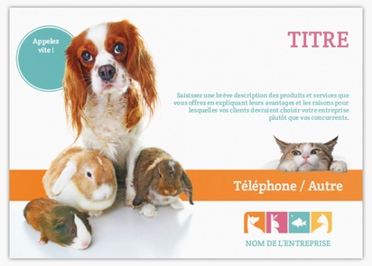Aperçu du graphisme pour Galerie de modèles : flyers et tracts pour animaux et soins vétérinaires,  Non plié A6 (105 x 148 mm)