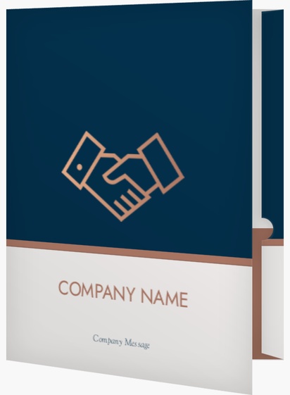 A professional accountant blue brown design
