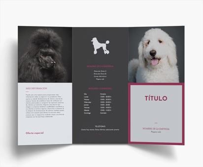 Vista previa del diseño de Galería de diseños de folletos plegados para animales y mascotas, Tríptico DL (99 x 210 mm)