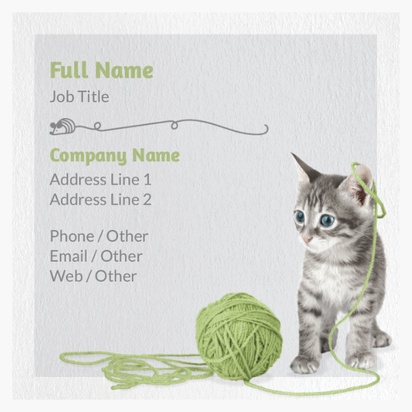 A kitten cat white cream design for Animals & Pet Care
