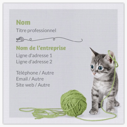 Aperçu du graphisme pour Galerie de modèles : cartes de visite lin pour animaux et soins vétérinaires