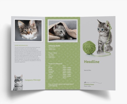 Design Preview for Design Gallery: Animal Grooming Folded Leaflets, Tri-fold DL (99 x 210 mm)