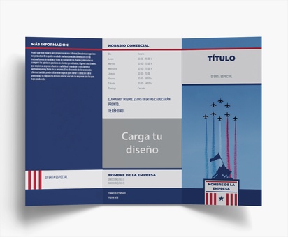 Vista previa del diseño de Galería de diseños de folletos plegados para derecho, seguridad pública y política, Tríptico DL (99 x 210 mm)