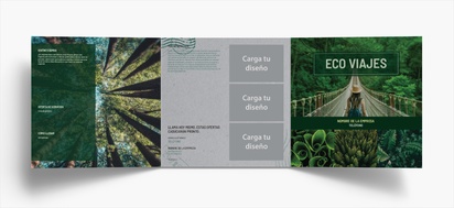 Vista previa del diseño de Galería de diseños de folletos plegados para agricultura, Tríptico Cuadrado (210 x 210 mm)