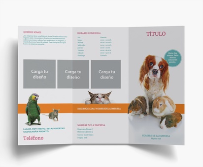 Vista previa del diseño de Galería de diseños de folletos plegados para animales, Tríptico DL (99 x 210 mm)