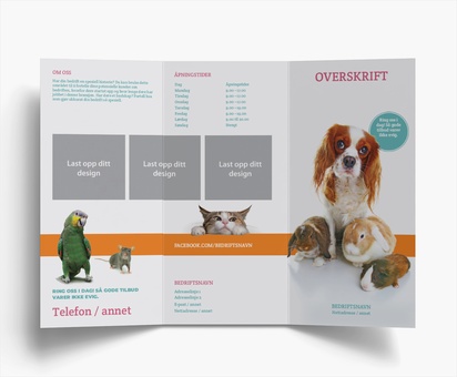 Forhåndsvisning av design for Designgalleri: Dyr og dyrestell Brosjyrer, 3-fløyet DL (99 x 210 mm)