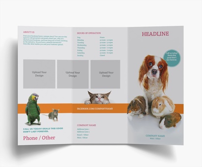 Design Preview for Design Gallery: Animal Grooming Flyers & Leaflets, Tri-fold DL (99 x 210 mm)
