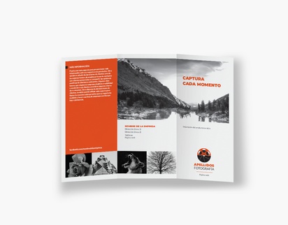 Vista previa del diseño de Galería de diseños de folletos plegados para cine y películas, Tríptico DL (99 x 210 mm)