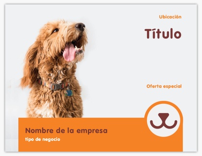 Un veterinario guardería para perros diseño gris naranja para Moderno y sencillo