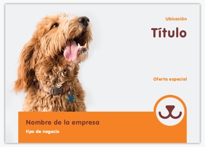Un peluquero de mascotas perro diseño gris naranja para Animales y mascotas