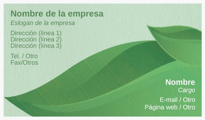 Un エコ natural diseño verde crema