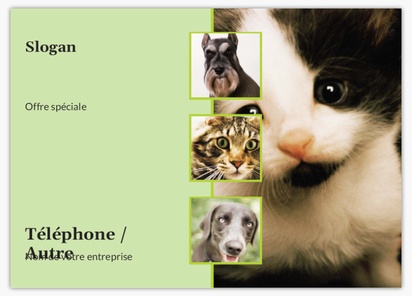 Aperçu du graphisme pour Galerie de modèles : Cartes postales, Animaux et soins vétérinaires, 5 x 7 po