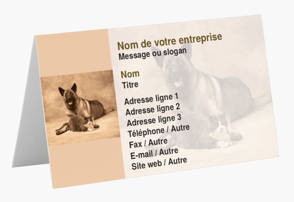 Aperçu du graphisme pour Galerie de modèles : cartes de visite pliées pour animaux et soins vétérinaires
