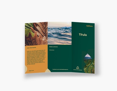 Vista previa del diseño de Galería de diseños de folletos plegados para energía y medio ambiente, Tríptico DL (99 x 210 mm)