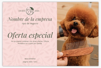 Un salón para perros mascota diseño crema rosa para Animales con 1 imágenes
