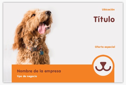 Un tienda de mascotas perreras diseño gris naranja para Animales y mascotas