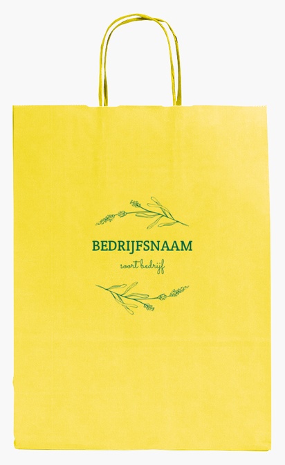 Voorvertoning ontwerp voor Ontwerpgalerij: Bars Effen kleur papieren tassen, M (26 x 11 x 34.5 cm)