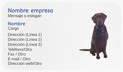 Un perro marche labrador de chocolate diseño negro azul para Animales y mascotas
