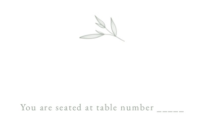 Design Preview for Design Gallery: Traditional & Classic Place Cards, Standard (91 x 55 mm)