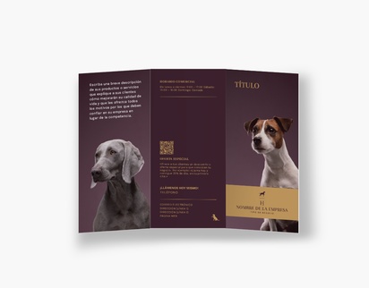 Vista previa del diseño de Galería de diseños de folletos plegados para tiendas de mascotas, Tríptico DL (99 x 210 mm)