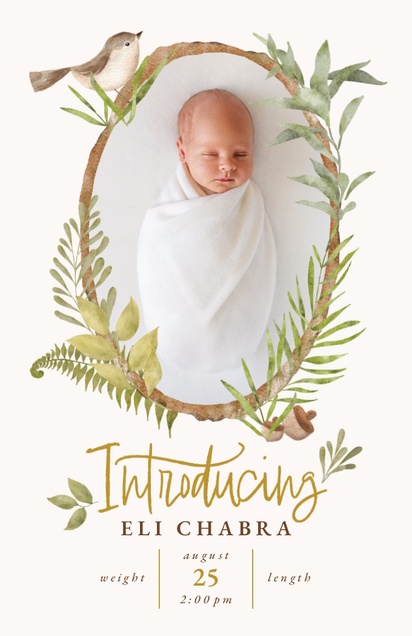 A rustic greenery introducing white gray design for Gender Neutral with 1 uploads
